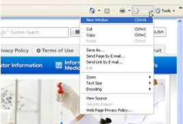 For Internet Explorer 7 1