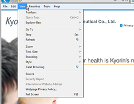 For Internet Explorer 9 1