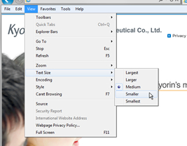 For Internet Explorer 9 2