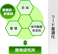 図:リード最適化