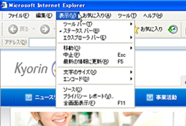 画像：Internet Explorer 6 の場合 1