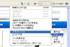 画像：Internet Explorer 7 の場合 2