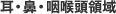 耳・鼻・咽喉頭領域