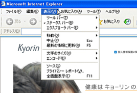 画像：Internet Explorer 6 の場合 1