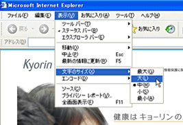 画像：Internet Explorer 6 の場合 2