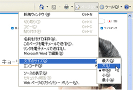 画像：Internet Explorer 7 の場合 2