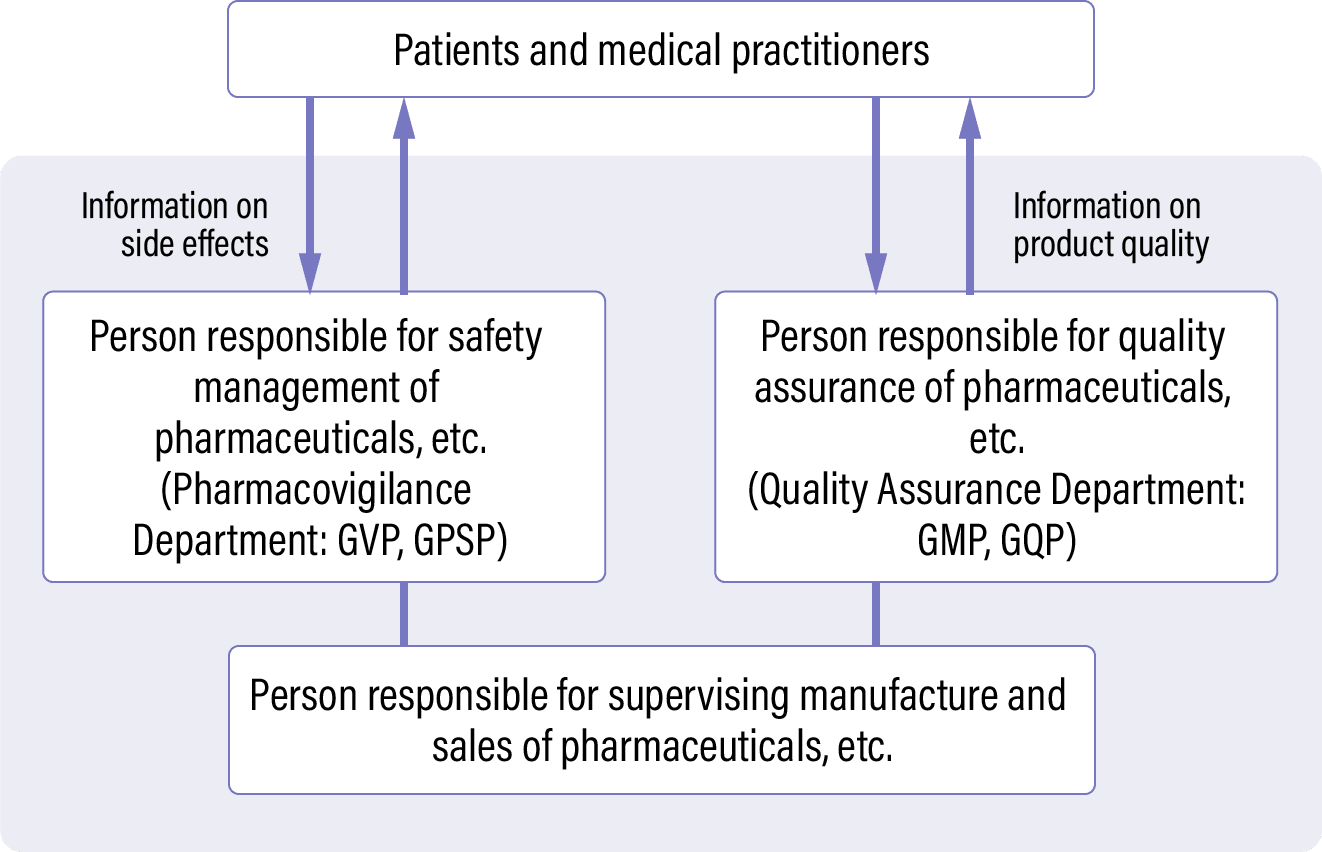 Manufacturing and Sales Structure - Pharmaceuticals