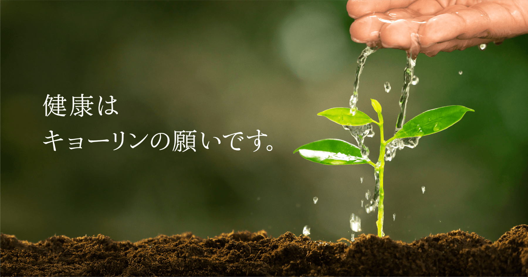 健康はキョーリンの願いです。