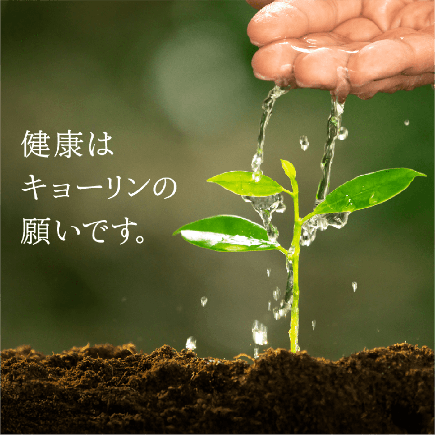 健康はキョーリンの願いです。