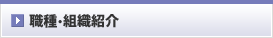 職種・組織紹介