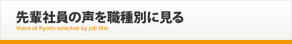 先輩社員の声を職種別に見る