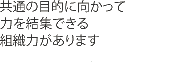 共通の目的に向かって力を結集できる組織力があります