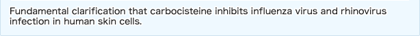 Fundamental clarification that carbocisteine inhibits influenza virus and rhinovirus infection in human skin cells.