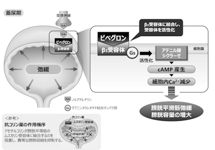 BV_7010_1.png
