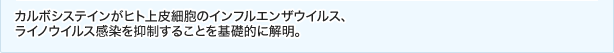 カルボシステインがヒト上皮細胞のインフルエンザウイルス、
ライノウイルス感染を抑制することを基礎的に解明。