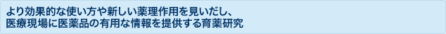 より効果的な使い方や新しい薬理作用を見いだし、医療現場に医薬品の有用な情報を提供する育薬研究